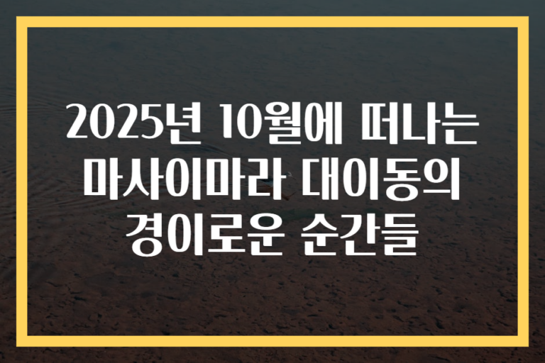 2025년 10월에 떠나는 마사이마라 대이동의 경이로운 순간들