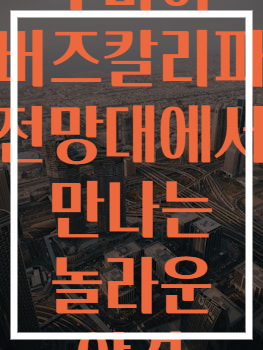 두바이 버즈칼리파 전망대에서 만나는 놀라운 야경