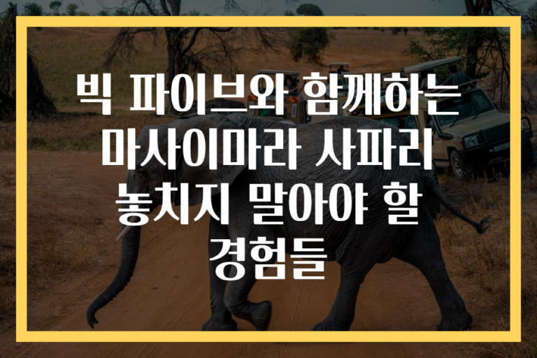 빅 파이브와 함께하는 마사이마라 사파리 놓치지 말아야 할 경험들
