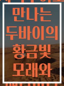 사막투어로 만나는 두바이의 황금빛 모래와 액티비티