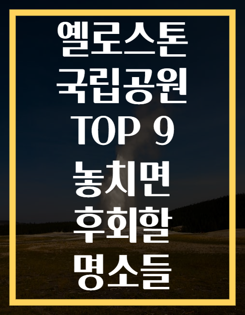 옐로스톤 국립공원 TOP 9 놓치면 후회할 명소들