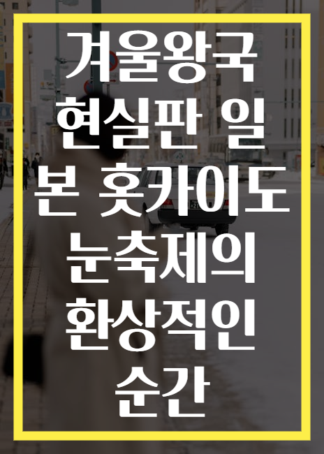 겨울왕국 현실판 일본 홋카이도 눈축제의 환상적인 순간
