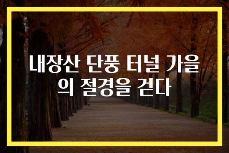 내장산 단풍 터널 가을의 절경을 걷다