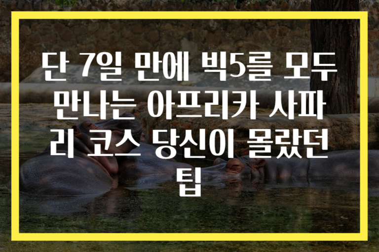 단 7일 만에 빅5를 모두 만나는 아프리카 사파리 코스 당신이 몰랐던 팁