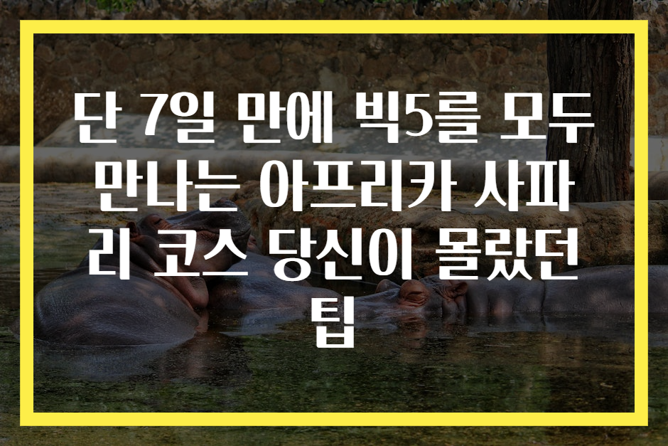 단 7일 만에 빅5를 모두 만나는 아프리카 사파리 코스 당신이 몰랐던 팁