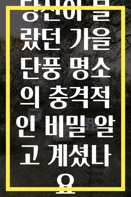 당신이 몰랐던 가을 단풍 명소의 충격적인 비밀 알고 계셨나요