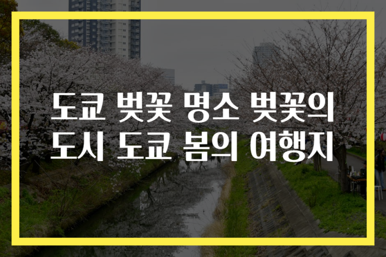 도쿄 벚꽃 명소 벚꽃의 도시 도쿄 봄의 여행지