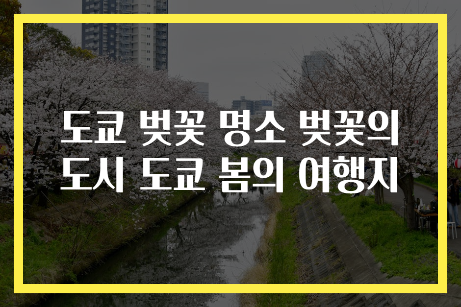 도쿄 벚꽃 명소 벚꽃의 도시 도쿄 봄의 여행지