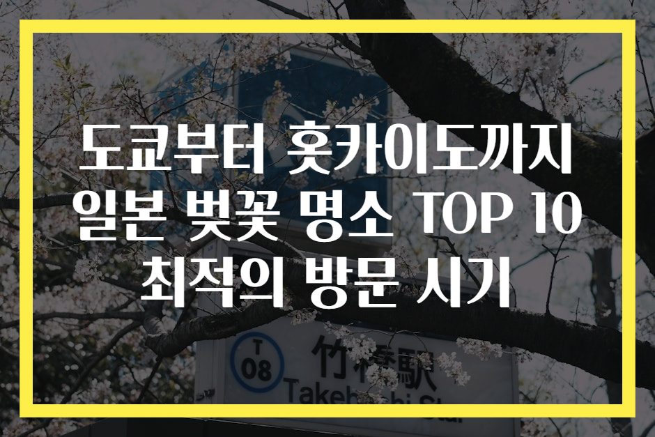도쿄부터 홋카이도까지 일본 벚꽃 명소 TOP 10 최적의 방문 시기
