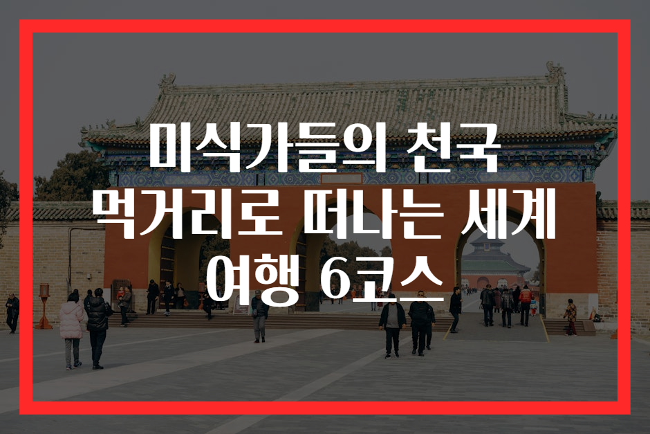 미식가들의 천국 먹거리로 떠나는 세계 여행 6코스