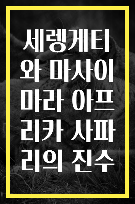 세렝게티와 마사이마라 아프리카 사파리의 진수