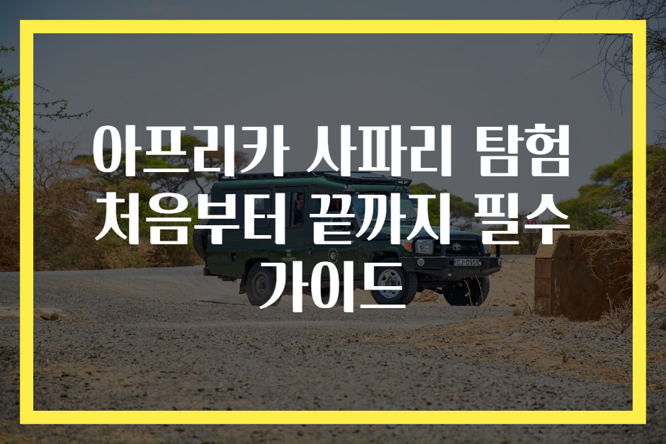 아프리카 사파리 탐험 처음부터 끝까지 필수 가이드