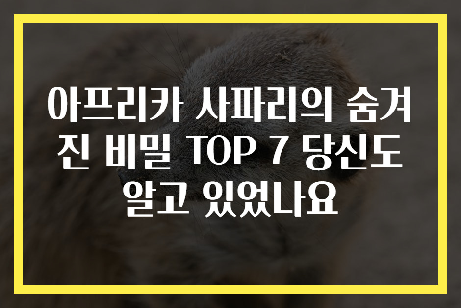 아프리카 사파리의 숨겨진 비밀 TOP 7 당신도 알고 있었나요