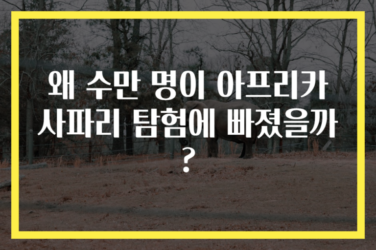 왜 수만 명이 아프리카 사파리 탐험에 빠졌을까?