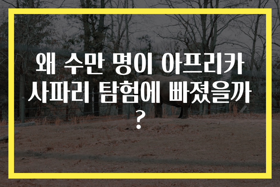 왜 수만 명이 아프리카 사파리 탐험에 빠졌을까?
