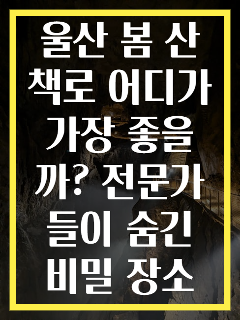 울산 봄 산책로 어디가 가장 좋을까? 전문가들이 숨긴 비밀 장소