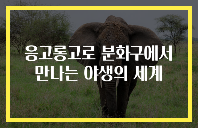 응고롱고로 분화구에서 만나는 야생의 세계