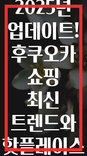 2025년 업데이트! 후쿠오카 쇼핑 최신 트렌드와 핫플레이스