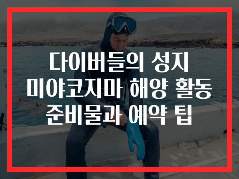다이버들의 성지 미야코지마 해양 활동 준비물과 예약 팁