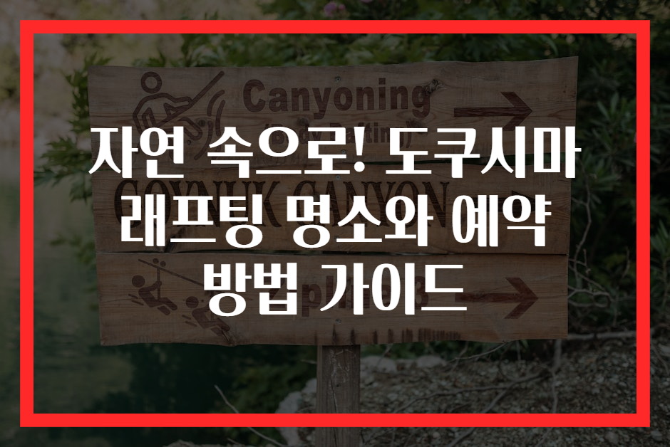 자연 속으로! 도쿠시마 래프팅 명소와 예약 방법 가이드