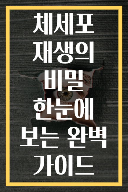 체세포 재생의 비밀 한눈에 보는 완벽 가이드