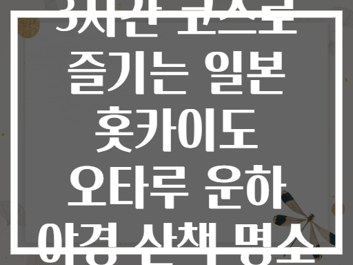 3시간 코스로 즐기는 일본 홋카이도 오타루 운하 야경 산책 명소