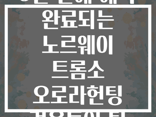 5일 만에 예약 완료되는 노르웨이 트롬소 오로라헌팅 겨울투어 팁