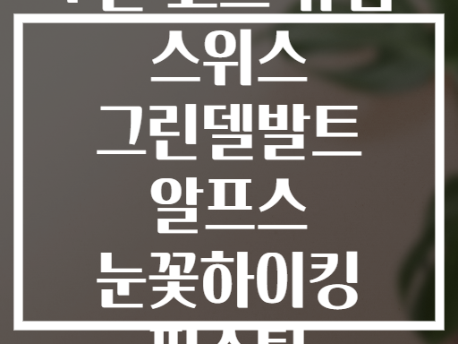 7일 코스 유럽 스위스 그린델발트 알프스 눈꽃하이킹 필수팁