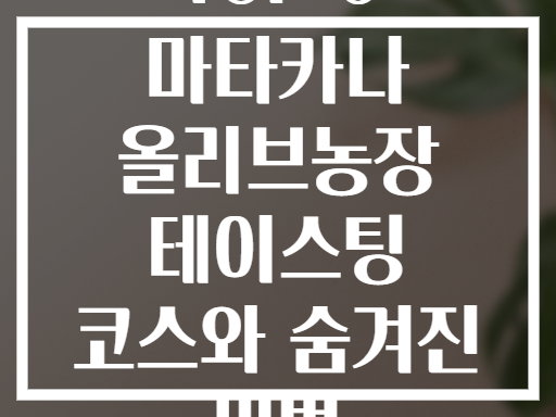 TOP 6 마타카나 올리브농장 테이스팅 코스와 숨겨진 비법