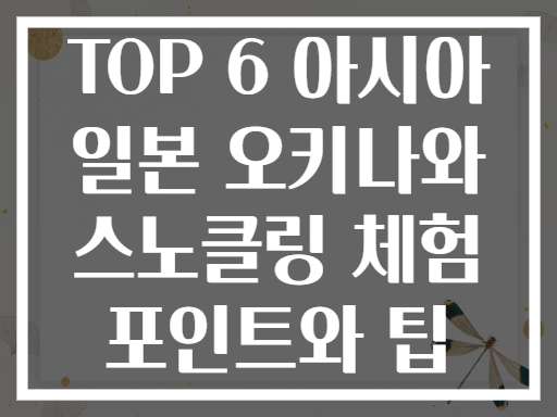 TOP 6 아시아 일본 오키나와 스노클링 체험 포인트와 팁