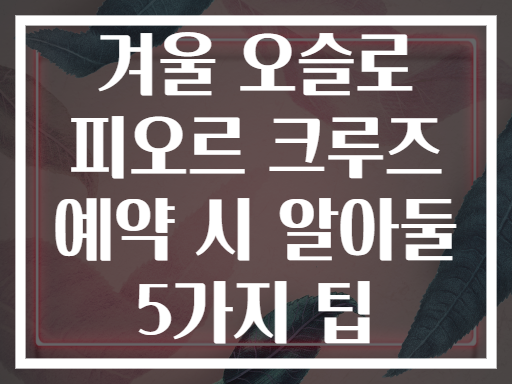 겨울 오슬로 피오르 크루즈 예약 시 알아둘 5가지 팁