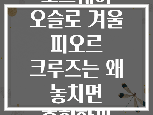 노르웨이 오슬로 겨울 피오르 크루즈는 왜 놓치면 후회할까
