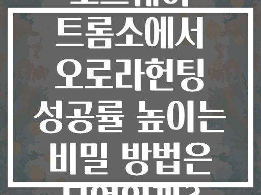 노르웨이 트롬소에서 오로라헌팅 성공률 높이는 비밀 방법은 무엇일까?