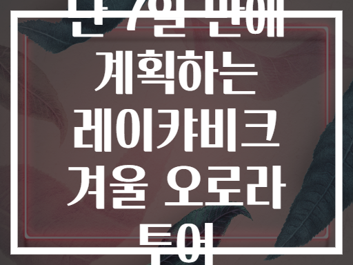 단 7일 만에 계획하는 레이캬비크 겨울 오로라 투어