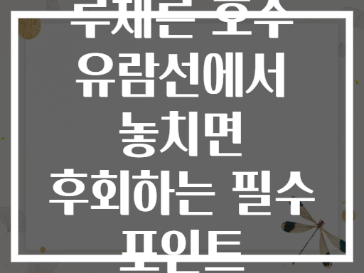 루체른 호수 유람선에서 놓치면 후회하는 필수 포인트