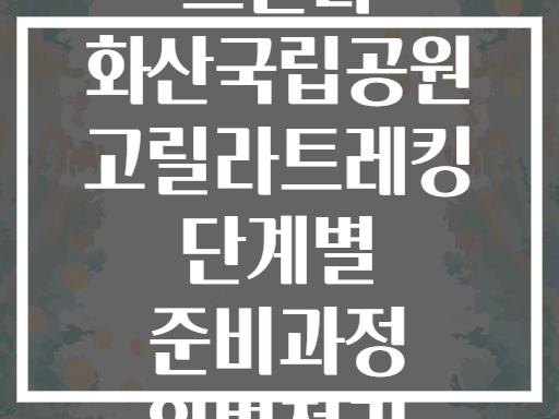 르완다 화산국립공원 고릴라트레킹 단계별 준비과정 완벽정리