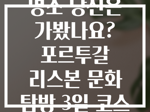 리스본의 숨겨진 문화 명소 당신은 가봤나요? 포르투갈 리스본 문화 탐방 3일 코스 8가지 필수 명소