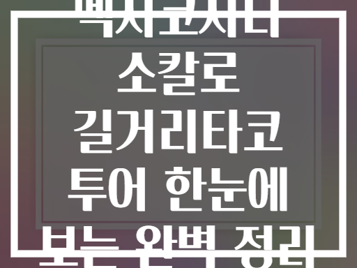 멕시코시티 소칼로 길거리타코 투어 한눈에 보는 완벽 정리