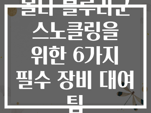 몰타 블루라군 스노클링을 위한 6가지 필수 장비 대여 팁