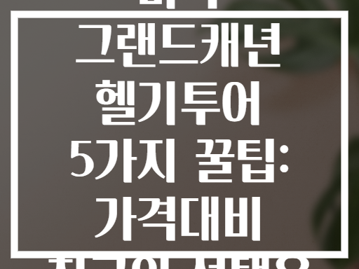 미국 그랜드캐년 헬기투어 5가지 꿀팁: 가격대비 최고의 선택은