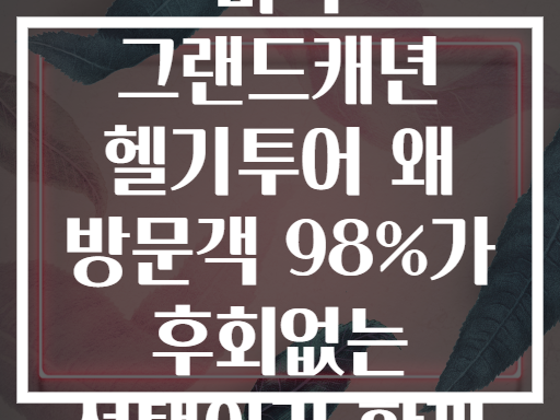 미국 그랜드캐년 헬기투어 왜 방문객 98%가 후회없는 선택이라 할까
