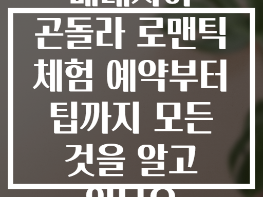 베네치아 곤돌라 로맨틱 체험 예약부터 팁까지 모든 것을 알고 있나요