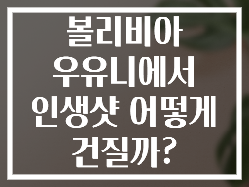 볼리비아 우유니에서 인생샷 어떻게 건질까?