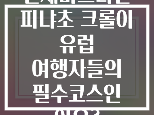 산세바스티안 피냐초 크롤이 유럽 여행자들의 필수코스인 이유?