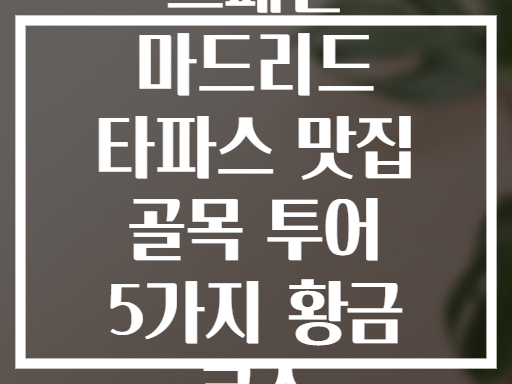 스페인 마드리드 타파스 맛집 골목 투어 5가지 황금 코스