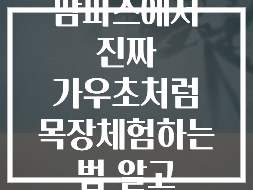 아르헨티나 팜파스에서 진짜 가우초처럼 목장체험하는 법 알고 계신가요?