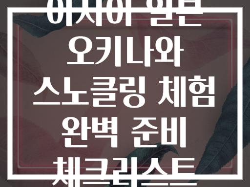 아시아 일본 오키나와 스노클링 체험 완벽 준비 체크리스트