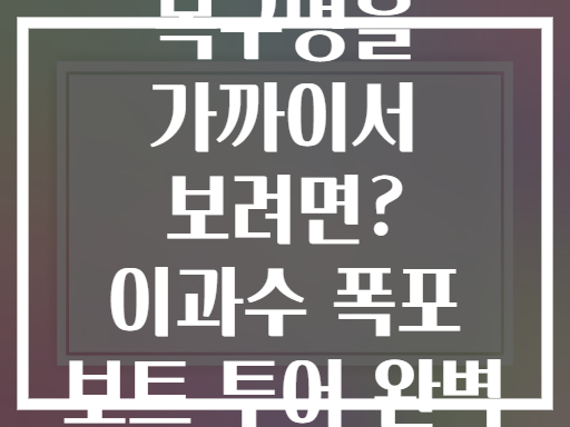 악마의 목구멍을 가까이서 보려면? 이과수 폭포 보트 투어 완벽 공략법