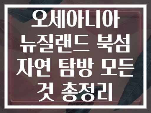 오세아니아 뉴질랜드 북섬 자연 탐방 모든 것 총정리