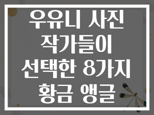 우유니 사진 작가들이 선택한 8가지 황금 앵글